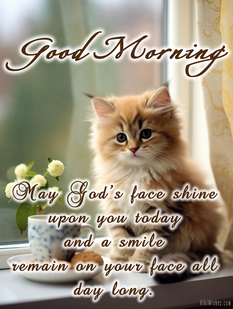 A good morning blessing in a picture from a kitty